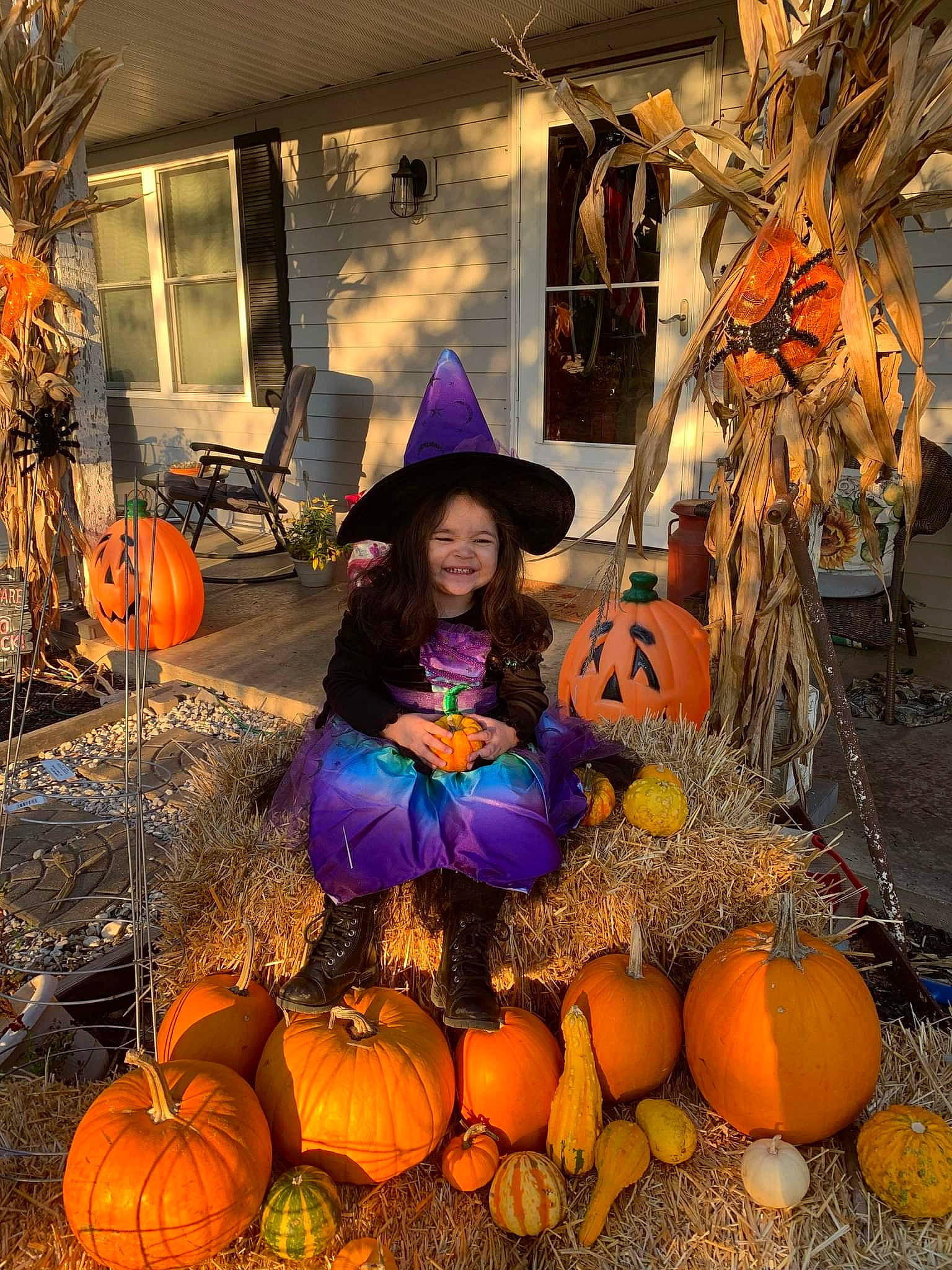 Averie joined the competition — help win amazing prizes! calabaza, cucurbita, gourd, hat, joy, local_food, natural_foods, orange, people, person, plant, pumpkin, purple, smile, squash, sun_hat, sunglasses, tree, vegetable, whole_food