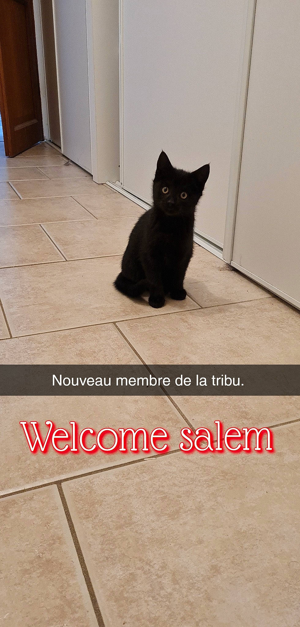 Salem