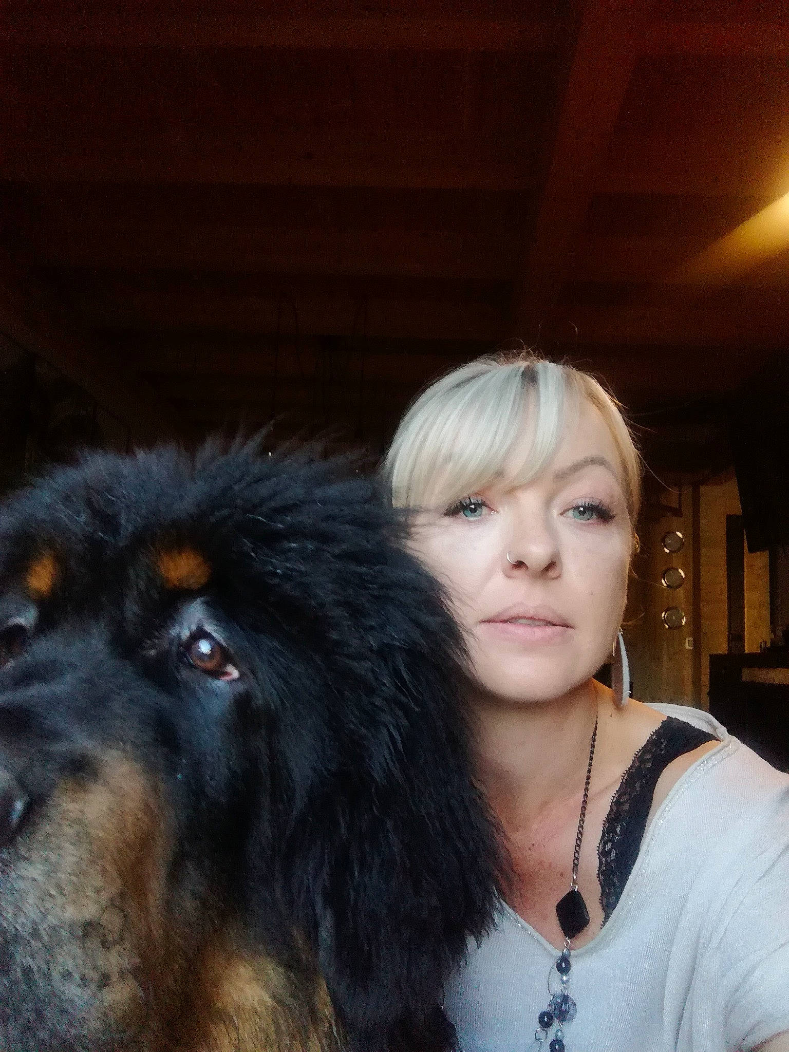 Sam Shaï a rejoint le concours — aidez-le/la à gagner de superbes lots ! bangs, blond, brown_hair, canidae, carnivore, companion_dog, dog, dog_breed, eyelash, fawn, flash_photography, fur, iris, jewellery, layered_hair, long_hair, nose, snout, sporting_group, whiskers