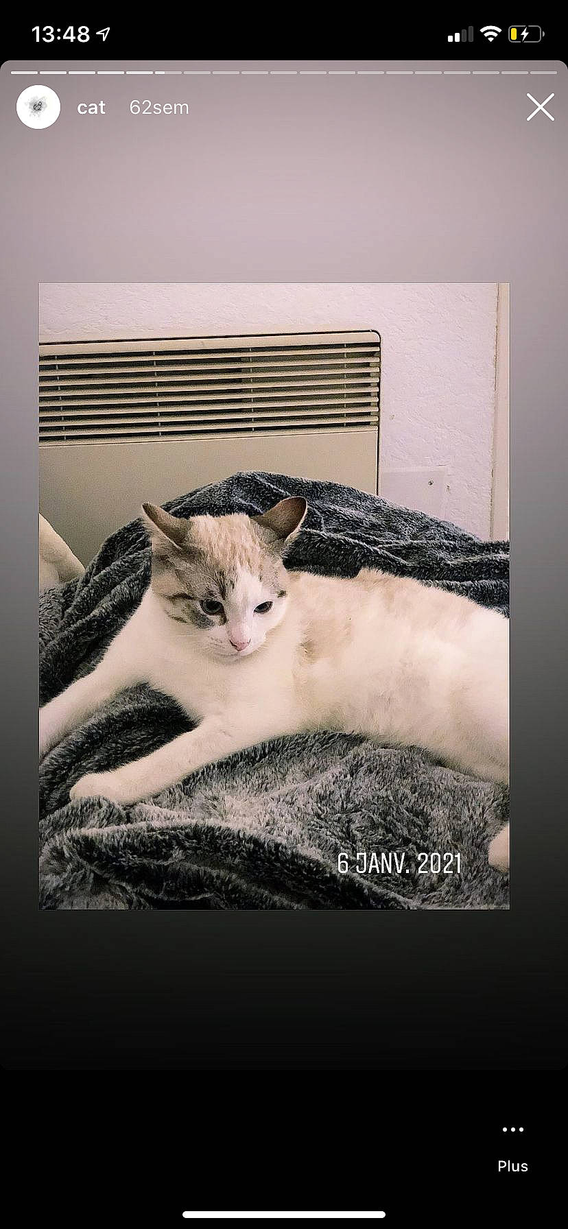 Raymond a rejoint le concours — aidez-le/la à gagner de superbes lots ! art, carnivore, cat, domestic_short_haired_cat, fawn, felidae, font, fur, illustration, paper_product, paw, photo_caption, rectangle, room, small_to_medium_sized_cats, snout, tail, terrestrial_animal, visual_arts, whiskers