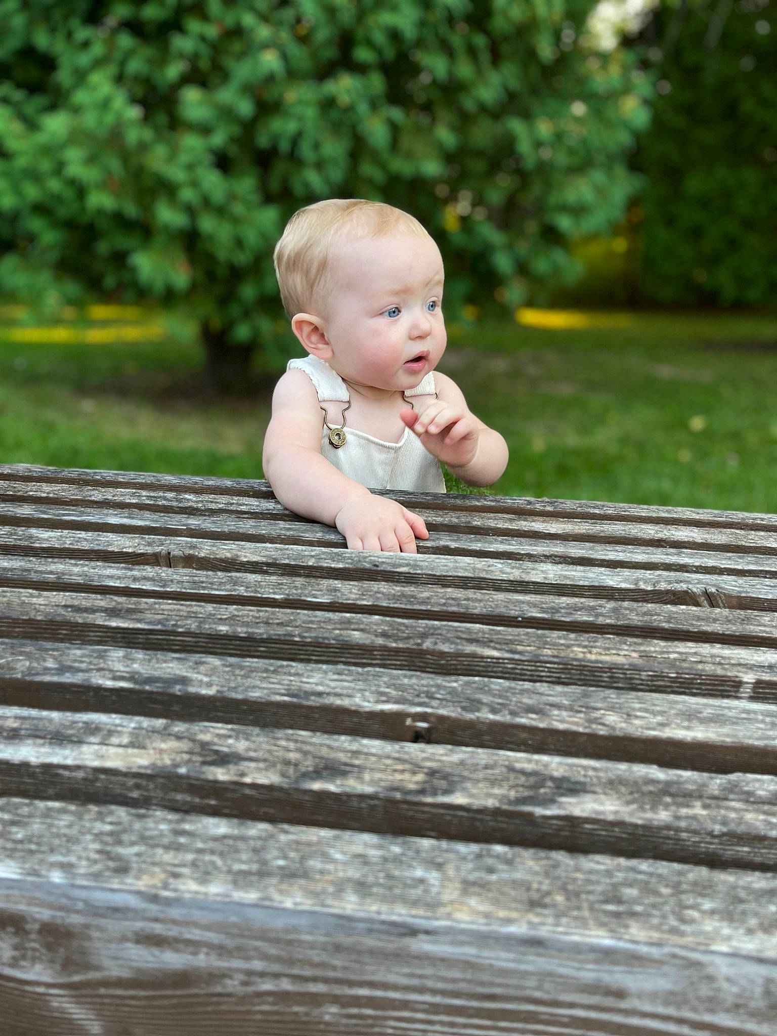 Camden joined the competition — help win amazing prizes! baby, baby_toddler_clothing, cheek, child, eye, flooring, garden, grass, grass_family, happy, hardwood, leisure, mammal, people_in_nature, person, plant, sitting, surprise, thumb, toddler