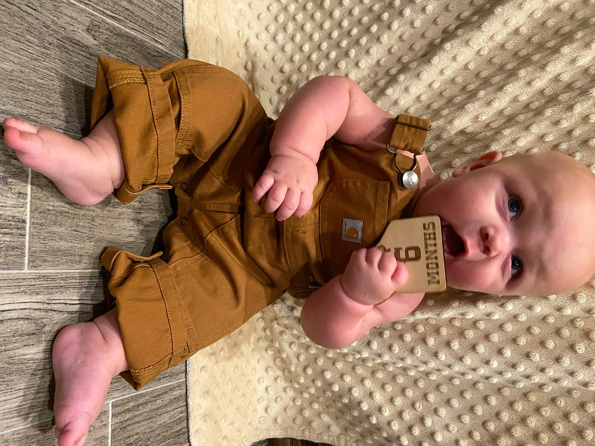Canyon is registered to the contest to win money with this photo: baby, baby_toddler_clothing, cheek, child, comfort, finger, flooring, gesture, hand, joint, mouth, pattern, person, skin, sleeve, thigh, thumb, toddler, vertebrate, wood