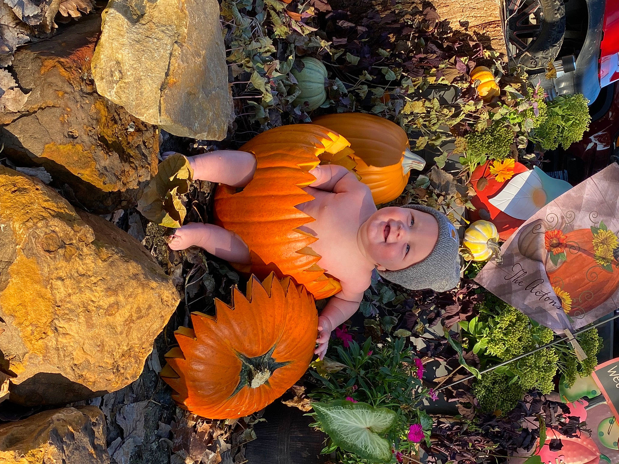 Canyon joined the competition — help win amazing prizes! calabaza, cucurbita, eye, fun, gourd, grass, headwear, human_body, joy, lawn_ornament, leaf, nature, orange, organism, people_in_nature, person, plant, pumpkin, squash, toddler