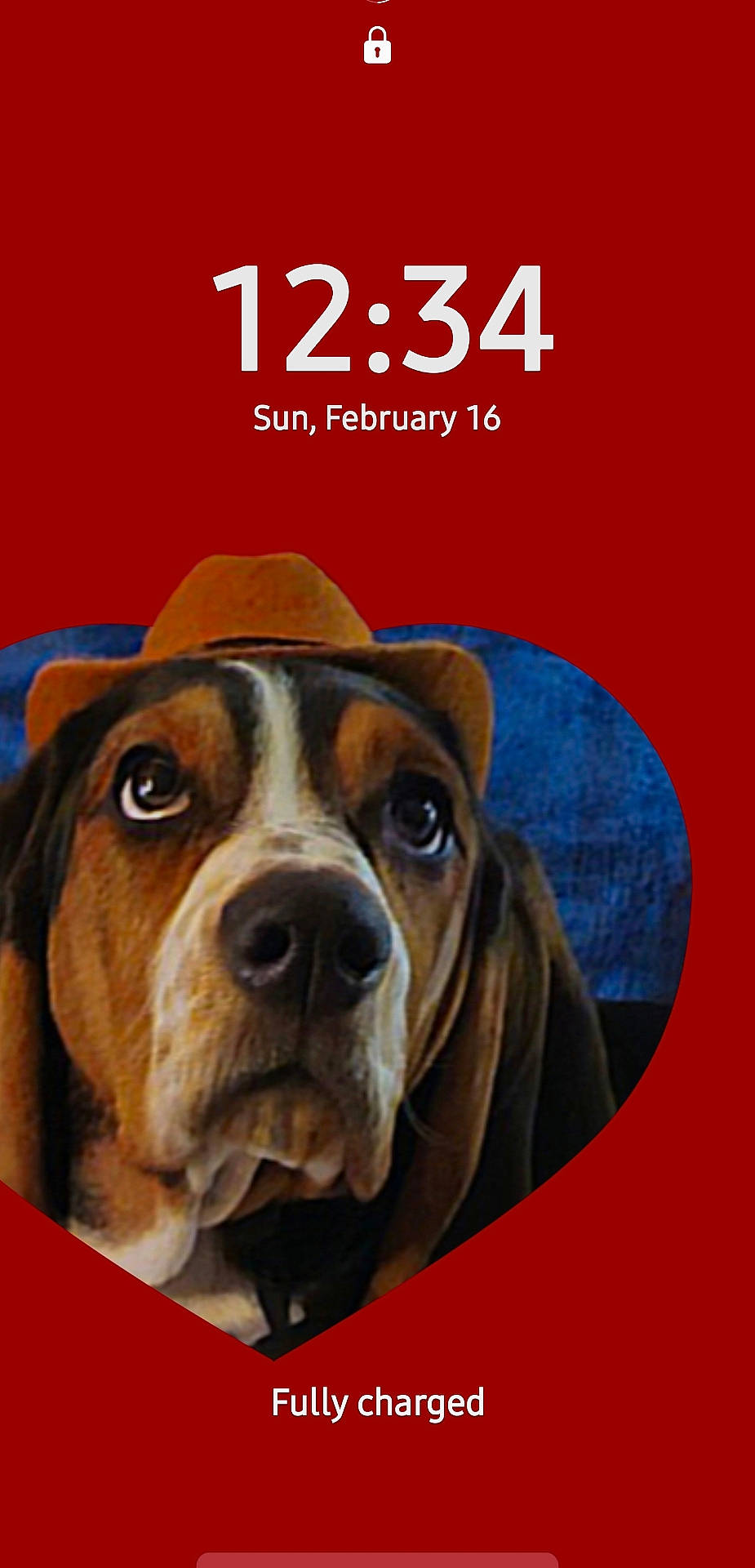 Jake joined the competition — help win amazing prizes! advertisement, animal, beagle, book, boxer, bulldog, canine, clothing, dog, envelope, greetingcard, hat, hound, mail, novel, pet, poster, publication, snout, text