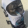 Woody joined the competition — help win amazing prizes! dog, pet_stroller, mesh_cover, outdoor, pavement, sunlight, gray, pet, animal, canine, wheels, handle, comfort, curious, daylight, leisure, transport, pet_accessory, walking, recreation