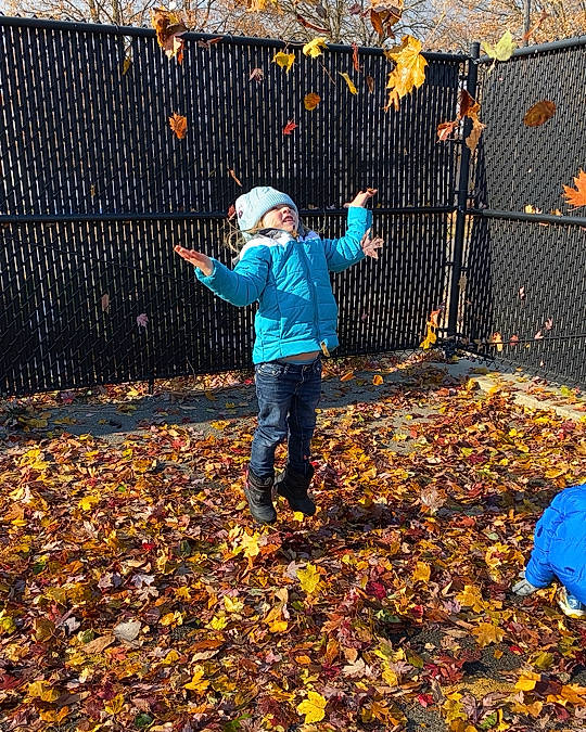 Mia joined the competition — help win amazing prizes! autumn, chain_link_fencing, child, deciduous, denim, fence, fun, grass, happy, headwear, jeans, leaf, leisure, mesh, metal, people_in_nature, person, sky, toddler, tree