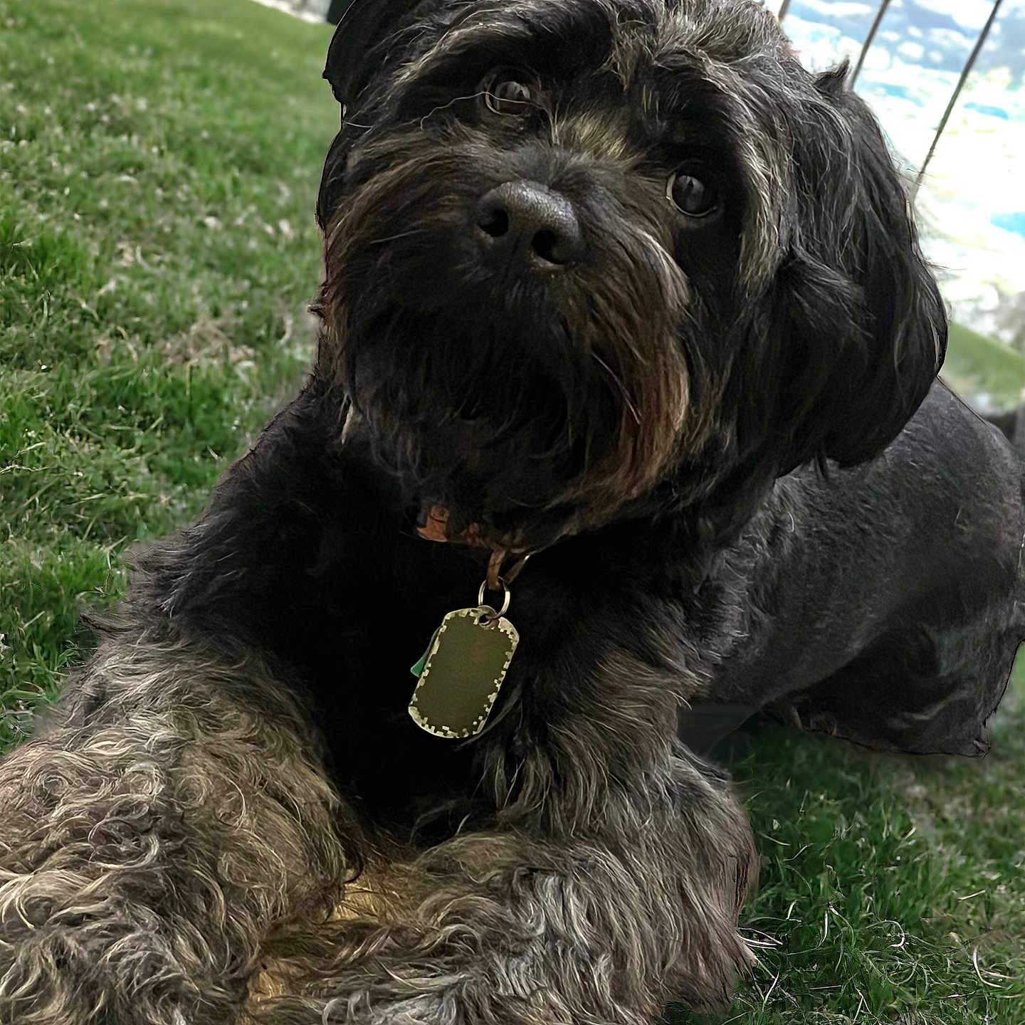 Zeus