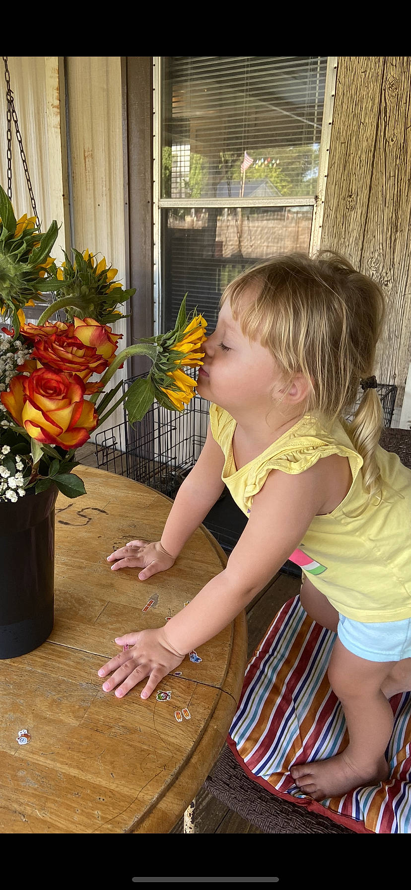 Sterling is registered to the contest to win money with this photo: artificial_flower, baby_toddler_clothing, bouquet, child, cut_flowers, floral_design, floristry, flower, flower_arranging, flowerpot, fun, person, petal, photograph, plant, shorts, snapshot, table, toddler, varnish
