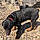 Axle