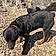 Axle