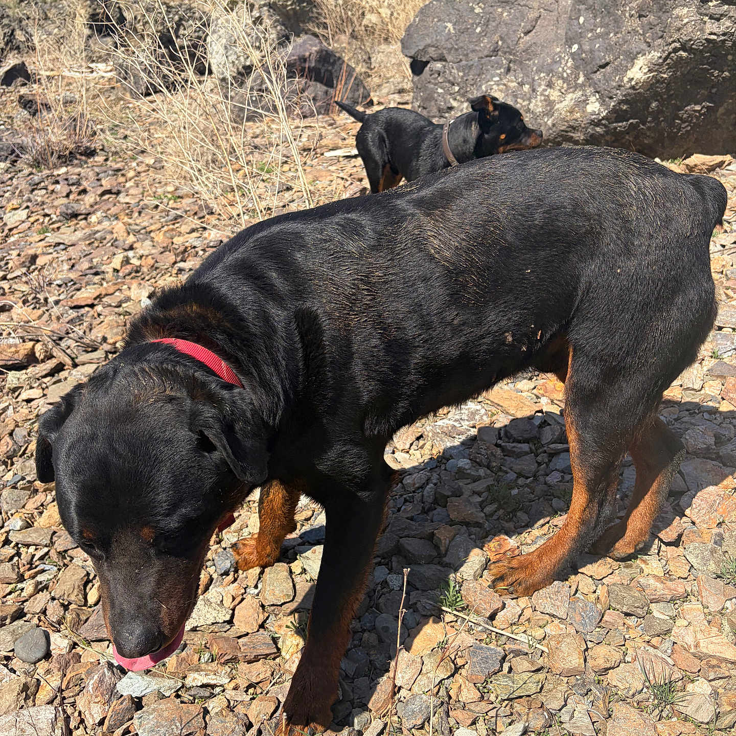 Axle