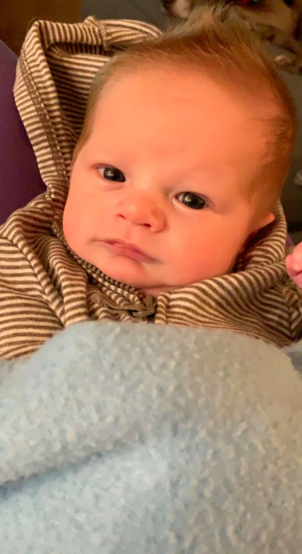 Philip is registered to the contest to win money with this photo: baby, beauty, cheek, child, chin, close_up, ear, eye, eyebrow, face, forehead, head, iris, lip, mouth, nose, person, skin, smile, toddler