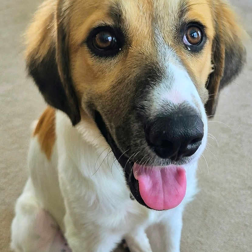 Charlie