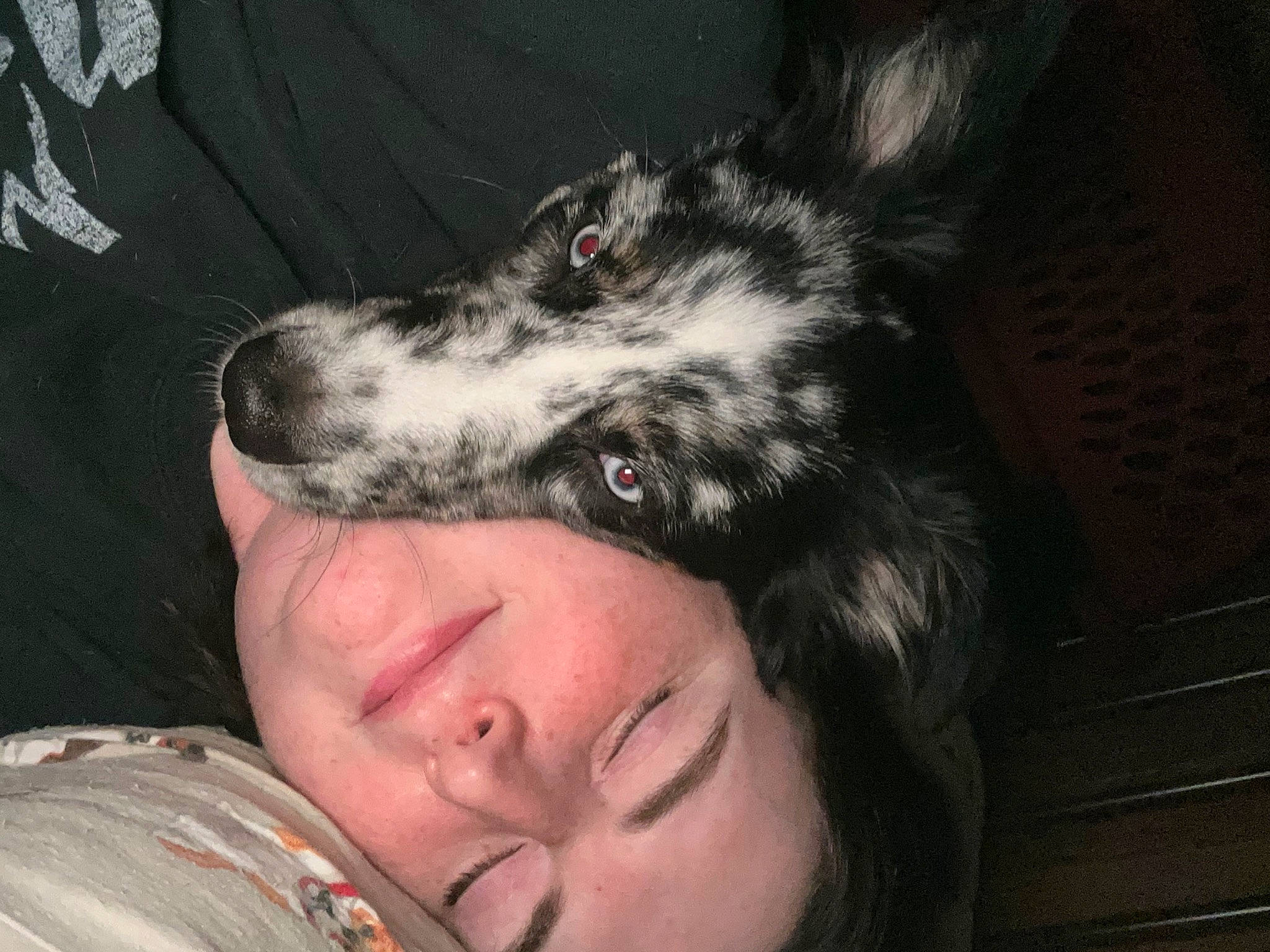 Anna joined the competition — help win amazing prizes! black_hair, canidae, carnivore, companion_dog, darkness, dog, dog_breed, felidae, flash_photography, flesh, fur, fur_clothing, gesture, guard_dog, herding_dog, jaw, snout, sporting_group, whiskers, working_dog