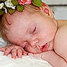 Ella is registered to the contest to win money with this photo: baby, newborn, sleeping, portrait, floral_crown, flowers, roses, leaves, blanket, close_up, face, eyes_closed, peaceful, infant, hand, fingers, skin, soft_lighting, indoor, resting