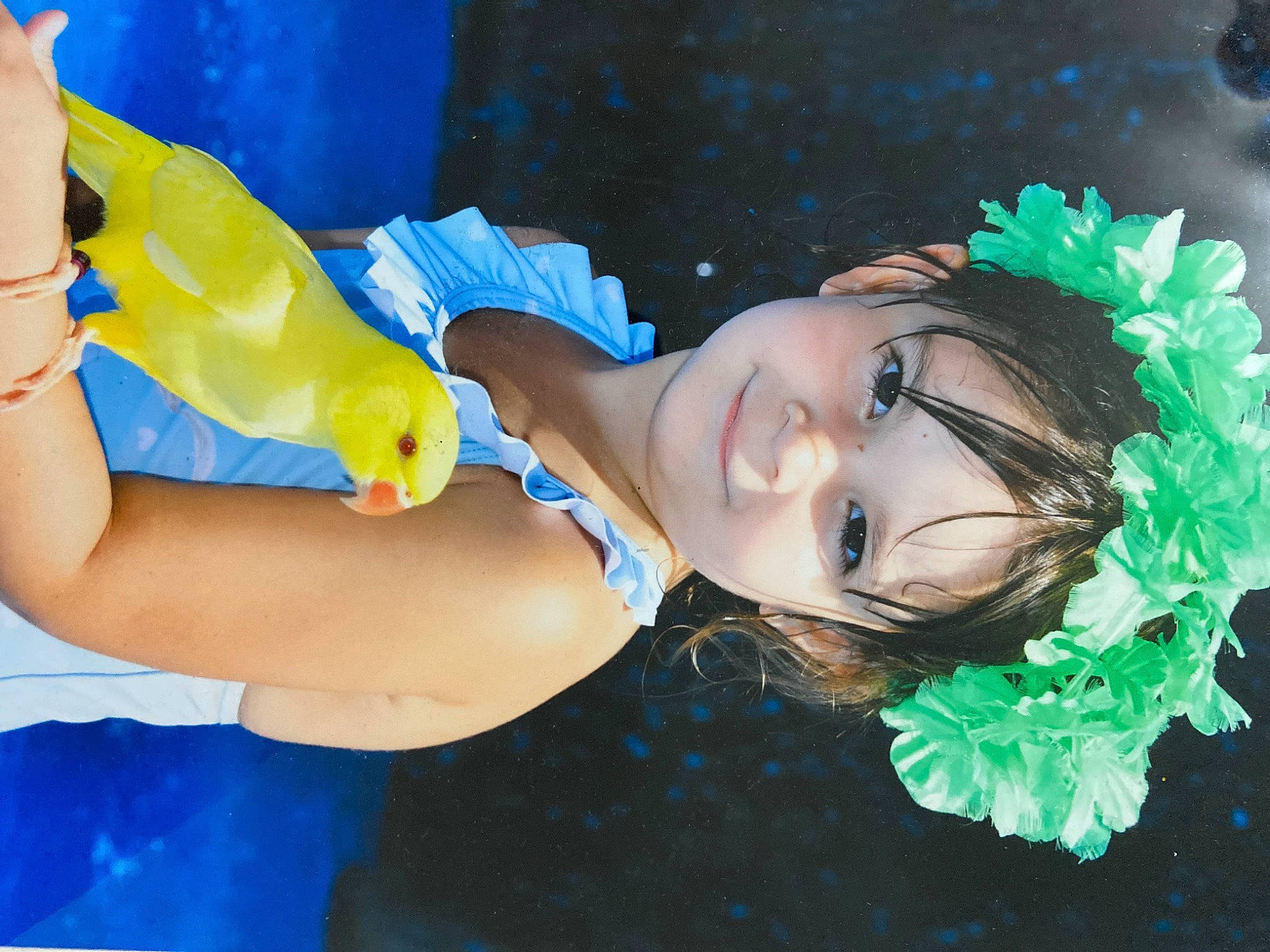 Victoria participe au concours pour gagner de l'argent avec cette photo : aqua, bathing, chest, child, electric_blue, fashion_accessory, flash_photography, fun, gesture, grass, happy, headpiece, human_leg, joy, leisure, person, petal, smile, swimming_pool, swimwear