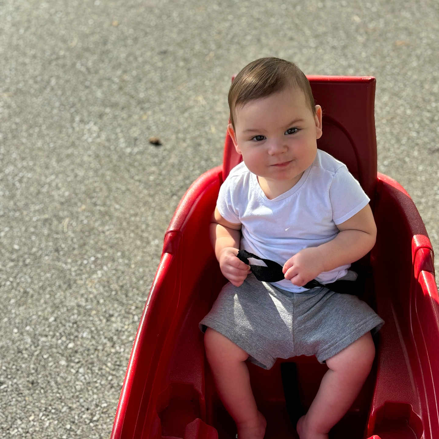 Avonnie is registered to the contest to win money with this photo: accessories, baby, clothing, face, footwear, head, machine, outdoorplayarea, outdoors, person, photography, playarea, portrait, shoe, shorts, slide, spoke, t_shirt, toy, wallet
