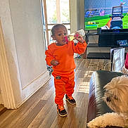 Chosen joined the competition — help win amazing prizes! toddler, child, baby_bottle, orange_clothing, sneakers, dog, couch, television, video_game, wooden_floor, indoor, person, pet, living_room, window, door, natural_light, flooring, furniture, casual