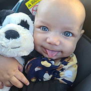 Kingston joined the competition — help win amazing prizes! baby, child, blue_eyes, tongue_out, stuffed_animal, panda, plush_toy, car_seat, infant, cute, smiling, hand, clothing, patterned, close_up, portrait, indoor, seatbelt, soft_toy, happy