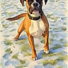 dog, boxer_dog, snow, winter, outdoor, field, standing, walking, portrait, collar, brown_fur, white_chest, black_mask, floppy_ears, tail, paw, serious_expression, landscape, power_lines, painterly_style