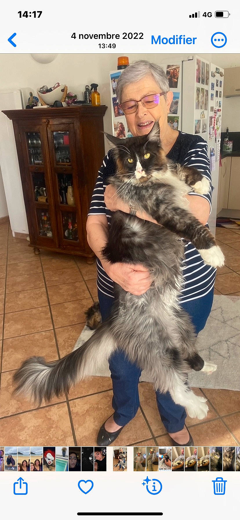 Speedy participe au concours pour gagner de l'argent avec cette photo : carnivore, cat, chair, companion_dog, dog_breed, domestic_short_haired_cat, eyewear, felidae, flooring, fur, hardwood, human_leg, lap, paw, shelf, small_to_medium_sized_cats, smile, tail, thigh, whiskers