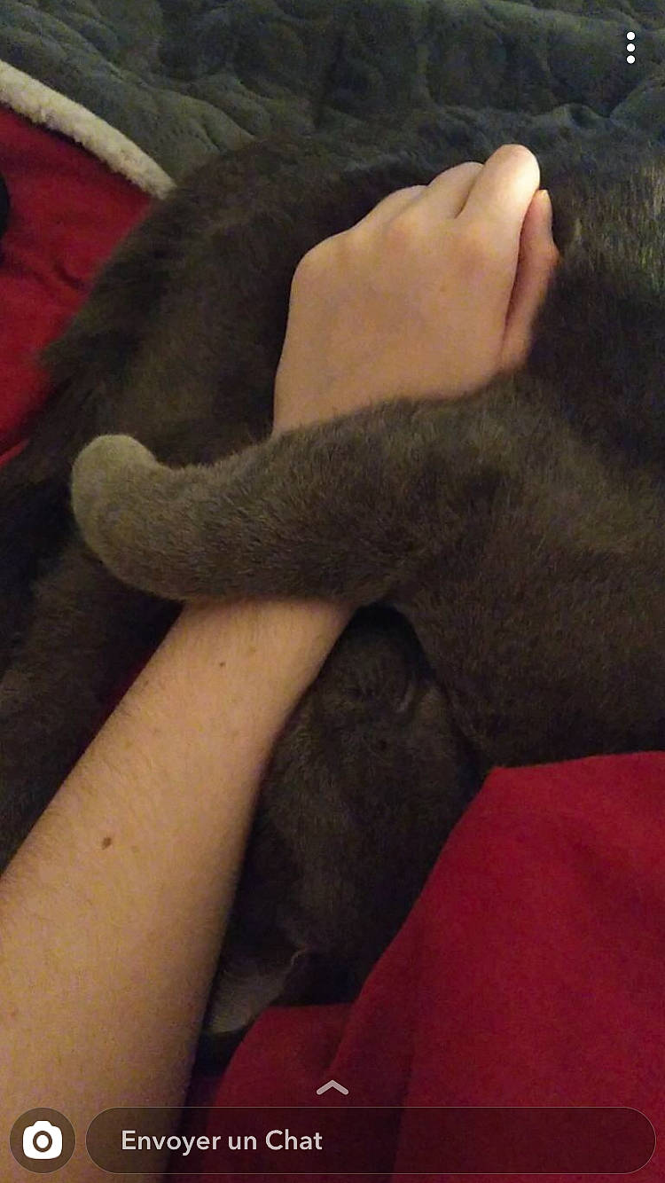 Lila participe au concours pour gagner de l'argent avec cette photo : arm, close_up, ear, fawn, finger, flesh, foot, gesture, hand, human, human_body, human_leg, joint, leg, mouth, muscle, nail, neck, skin, wrist