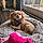 Winnie