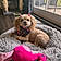 Winnie