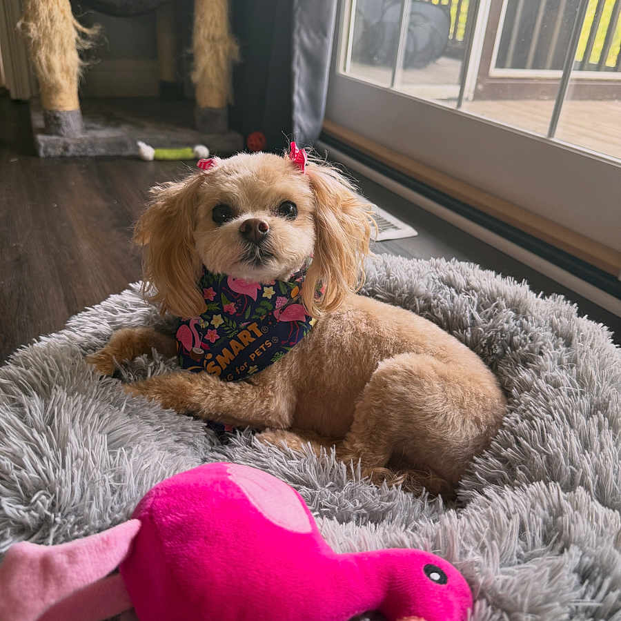 Winnie
