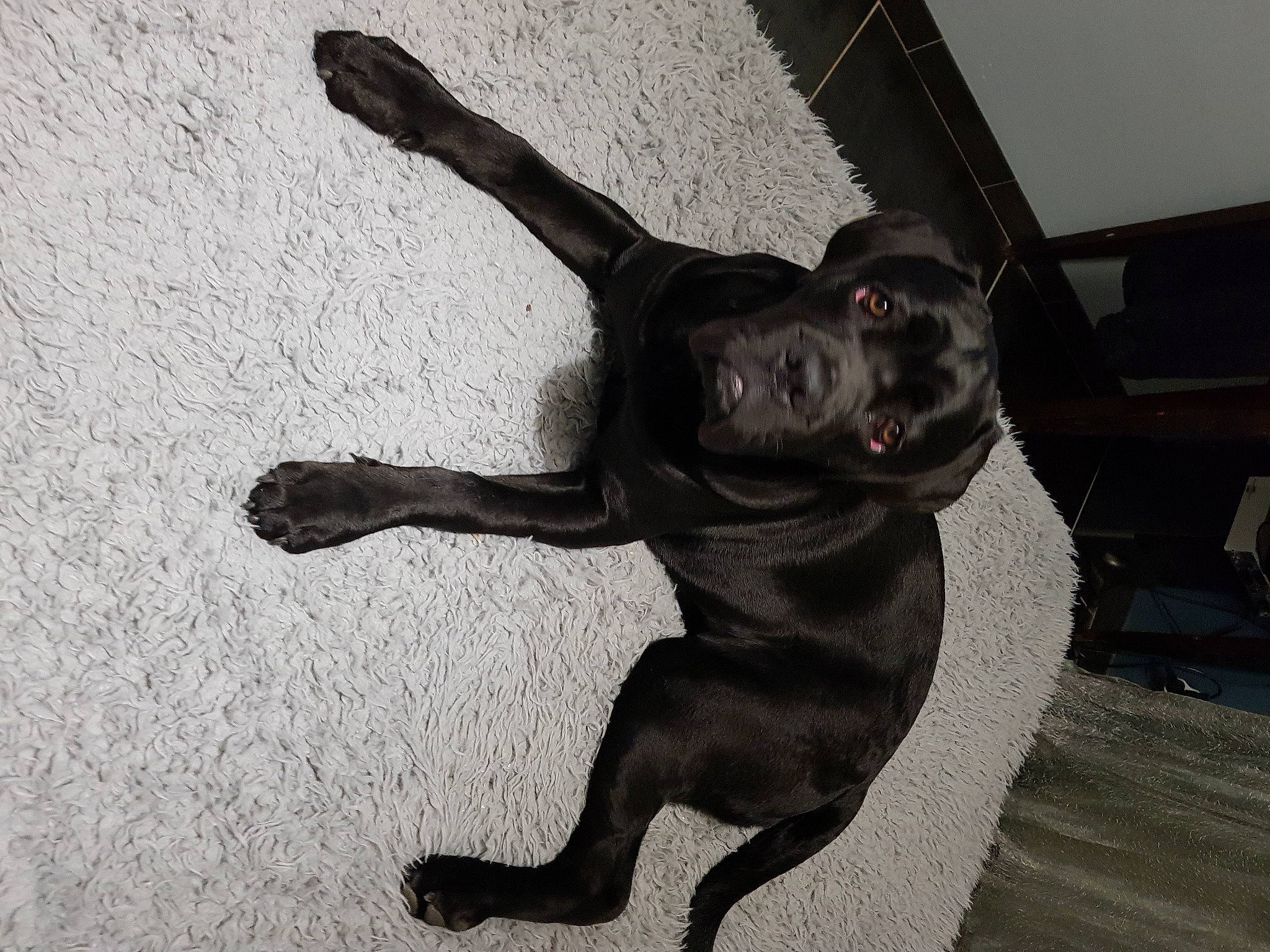 Osi participe au concours pour gagner de l'argent avec cette photo : art, elbow, eye, gesture, grey, happy, human_leg, knee, metal, monochrome, monochrome_photography, room, sculpture, shadow, statue, style, tail, tints_and_shades, visual_arts, wrist