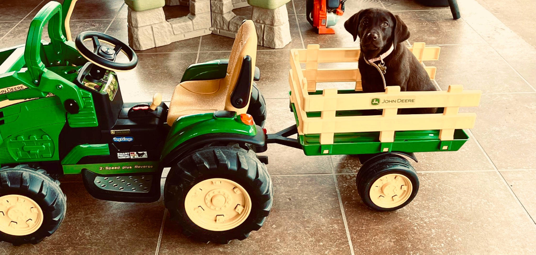 Dixie joined the competition — help win amazing prizes! agricultural_machinery, automotive_design, automotive_tire, automotive_wheel_system, carnivore, dog, fender, grass, green, lawn_mower, mode_of_transport, motor_vehicle, mower, riding_mower, rolling, tire, tractor, tread, vehicle, wheel