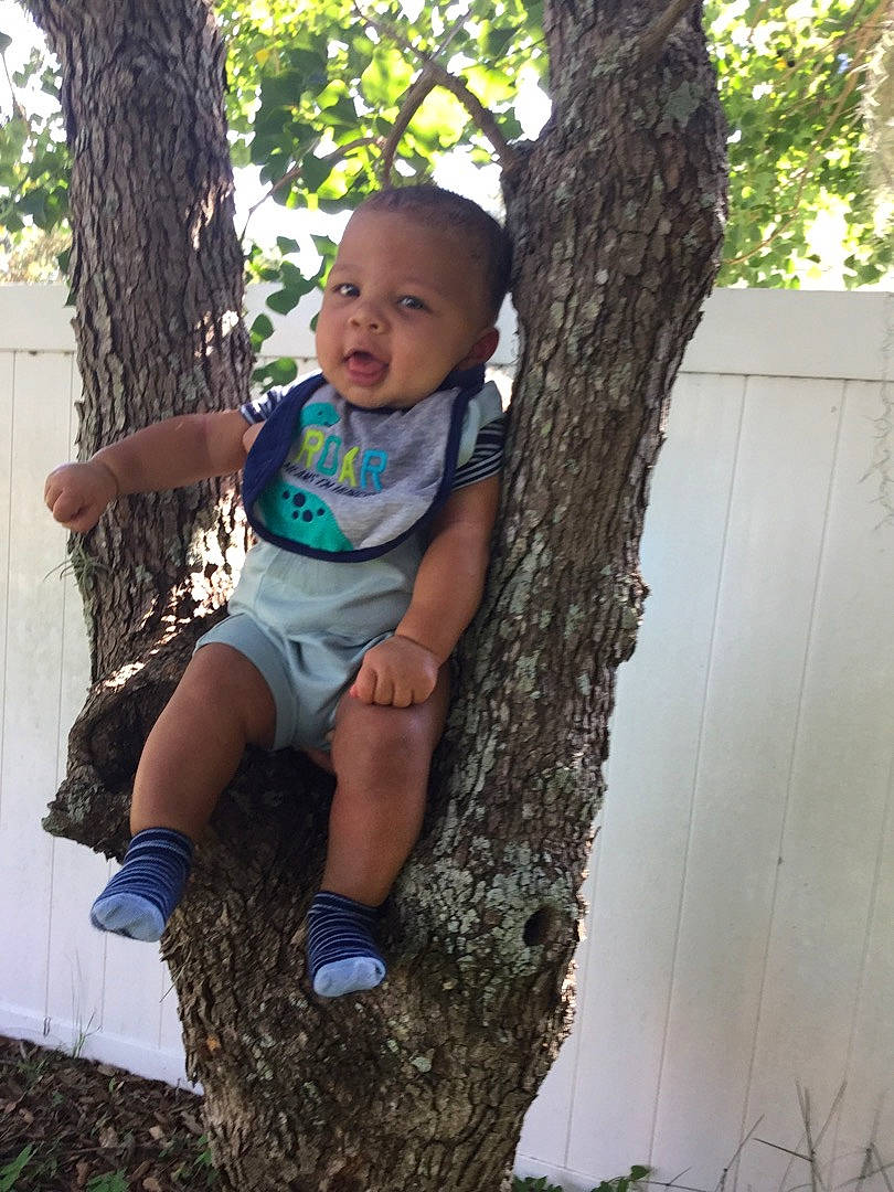 Isaac joined the competition — help win amazing prizes! baby, baby_toddler_clothing, branch, facial_expression, fun, grass, happy, leisure, people_in_nature, person, plant, shorts, smile, sneakers, t_shirt, thigh, toddler, tree, trunk, wood