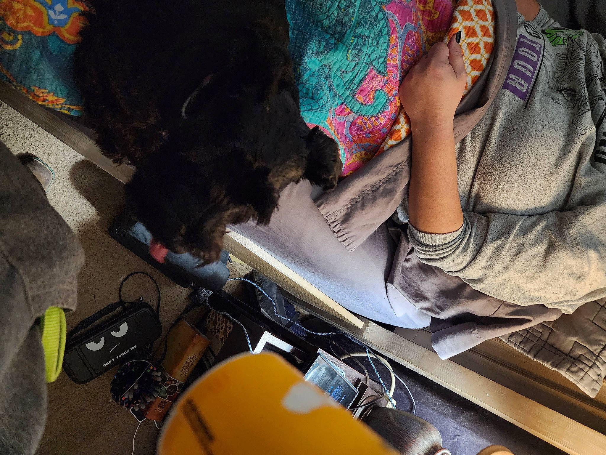 Roux joined the competition — help win amazing prizes! auto_part, automotive_lighting, bag, computer_keyboard, eyewear, fashion_accessory, fashion_design, human_leg, luggage_and_bags, machine, nail, pattern, room, sitting, sleeve, t_shirt, thigh, visual_arts, windshield, wrist