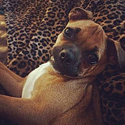 Tucker is registered to the contest to win money with this photo: