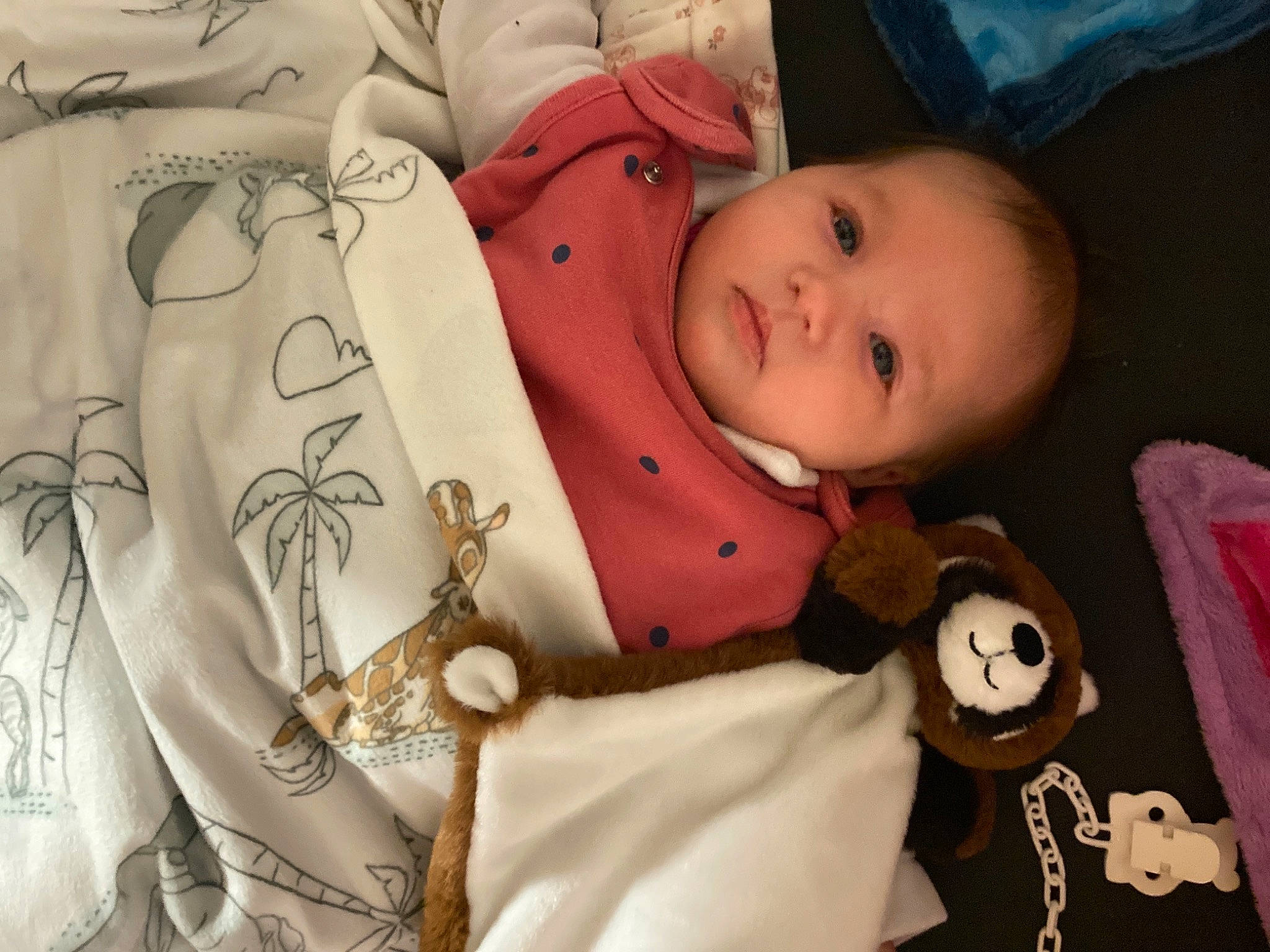 Angelina participe au concours pour gagner de l'argent avec cette photo : baby, baby_products, baby_toddler_clothing, cheek, child, doll, human_body, linens, lip, nose, pattern, person, product, room, skin, sleeve, stuffed_toy, textile, toddler, toy