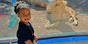 Lovely joined the competition — help win amazing prizes! animal, child, clothing, curly_hair, daylight, fence, footwear, girl, glass_enclosure, lion, nature, outdoor, popcorn, rocks, smiling, standing, sunlight, tree_log, wildlife, zoo