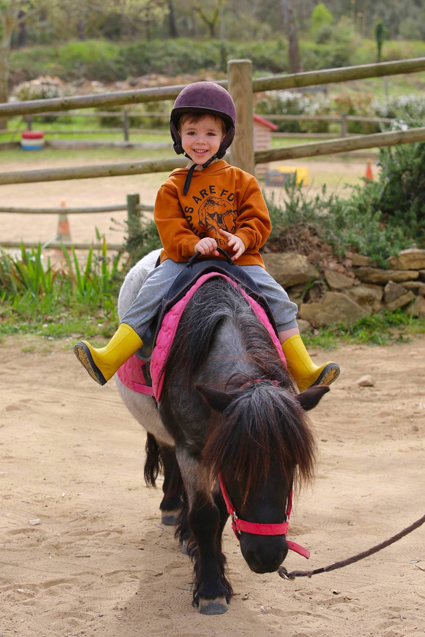 William participe au concours pour gagner de l'argent avec cette photo : adaptation, bridle, equestrianism, happy, headwear, horse_supplies, horse_tack, joy, landscape, leisure, livestock, mode_of_transport, outdoor_recreation, pack_animal, person, plant, recreation, rein, rural_area, saddle