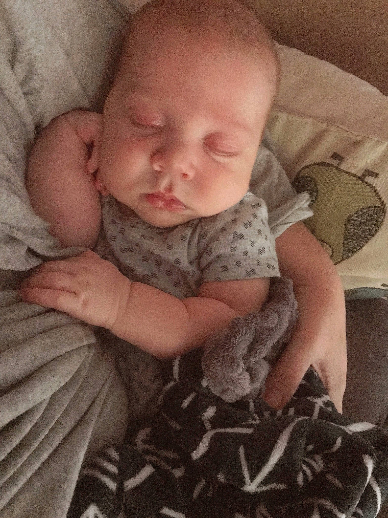 Shep joined the competition — help win amazing prizes!