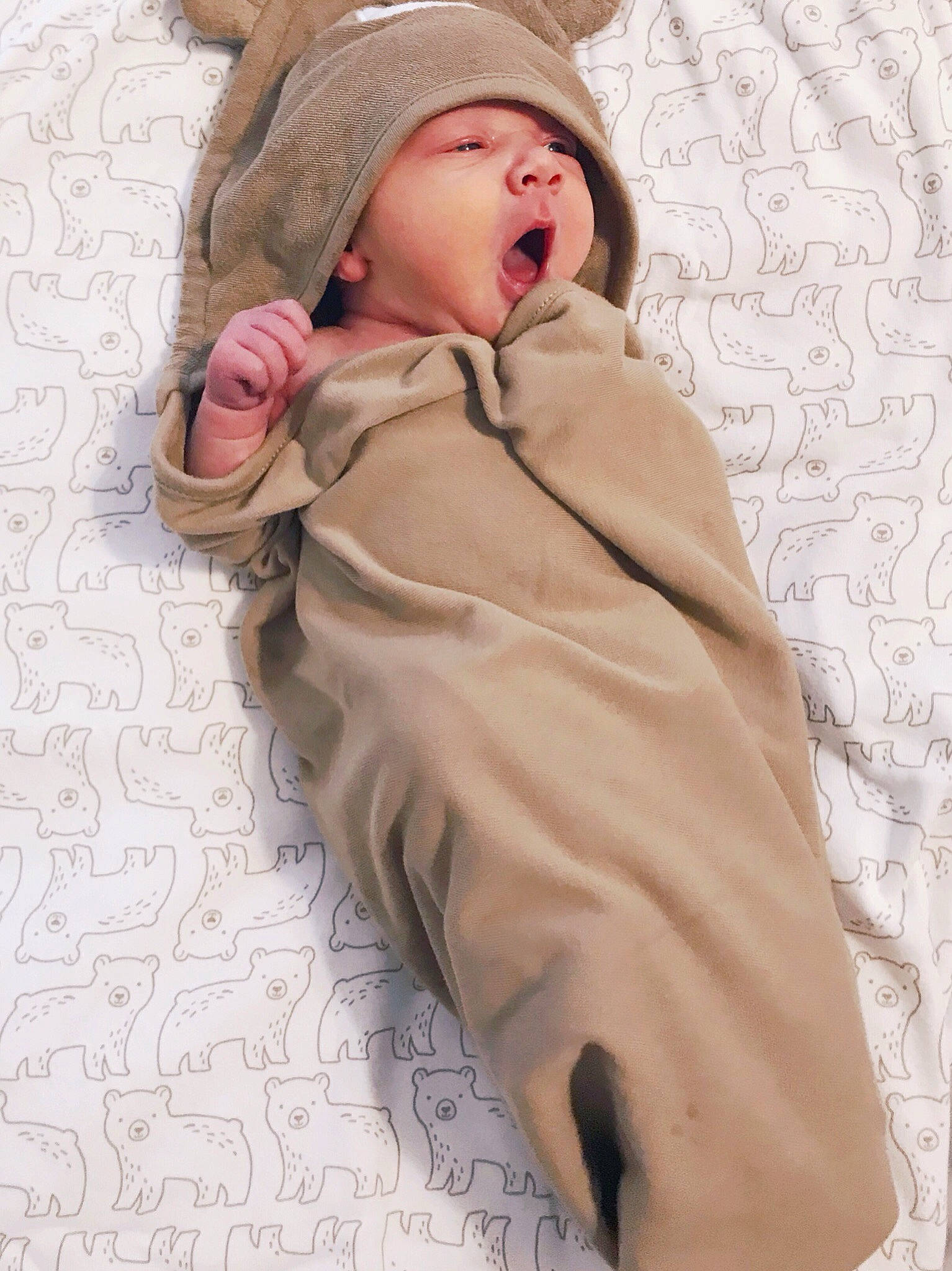 Shep is registered to the contest to win money with this photo: