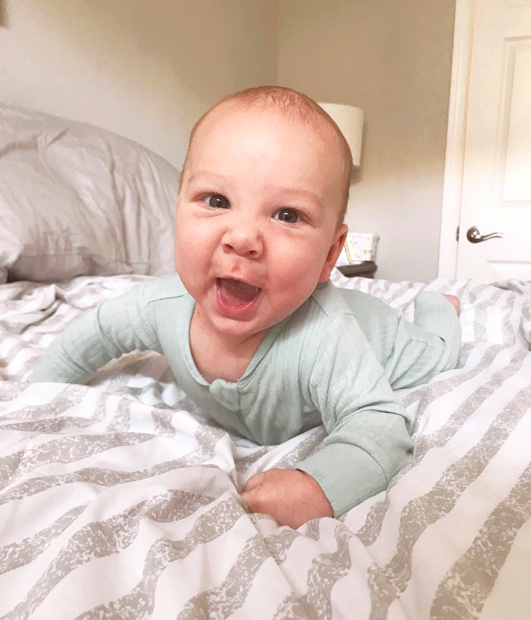 Shep is registered to the contest to win money with this photo: