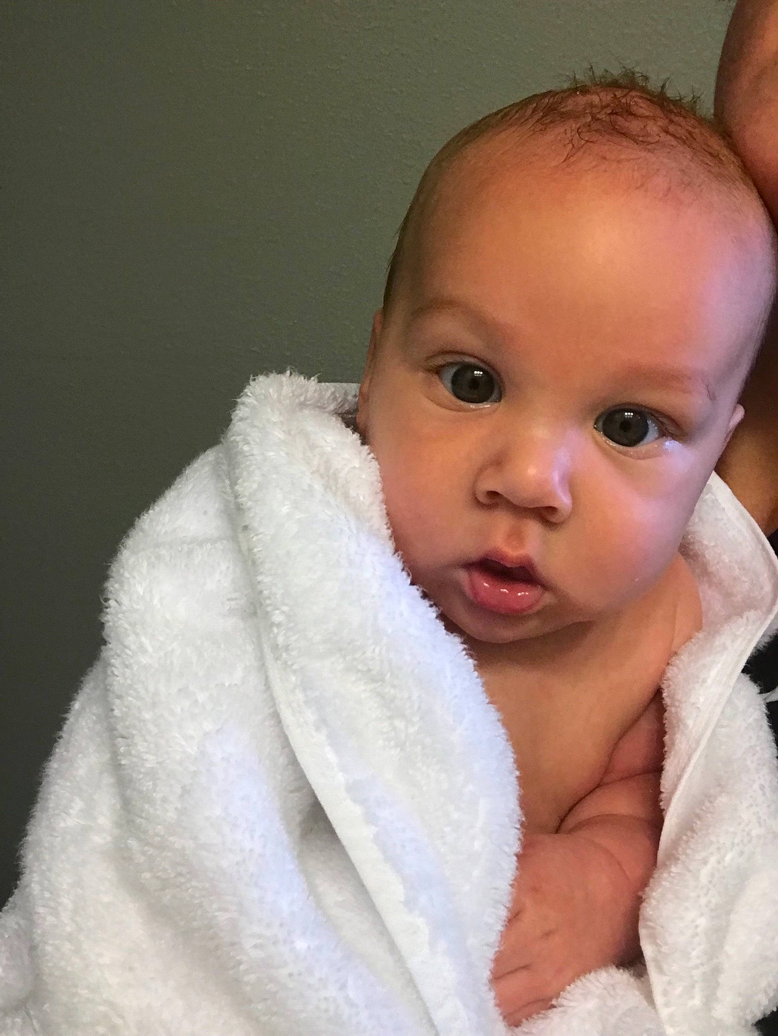 Shep joined the competition — help win amazing prizes!