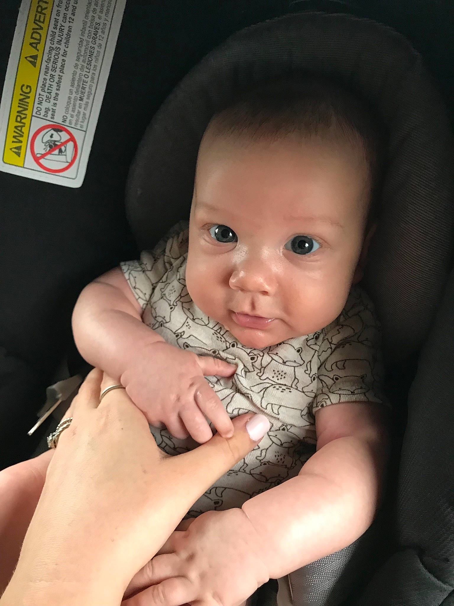 Shep joined the competition — help win amazing prizes!