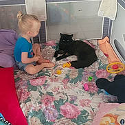 Symba a rejoint le concours — aidez-le/la à gagner de superbes lots ! black_cat, blanket, blue_shirt, child, colorful, curly_hair, cute, floor, floral_pattern, home, indoor, pet, pillow, plastic_toys, playpen, relaxed, shorts, sitting, toddler, toys