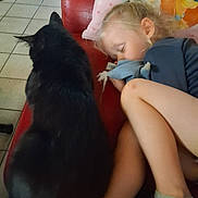 Symba a rejoint le concours — aidez-le/la à gagner de superbes lots ! black_cat, blonde_hair, blue_clothing, cartoon, cat, chair, child, companion, cozy, cushion, doll, fluffy, indoors, nap, pet, portrait, red_chair, sleeping, socks, tiled_floor
