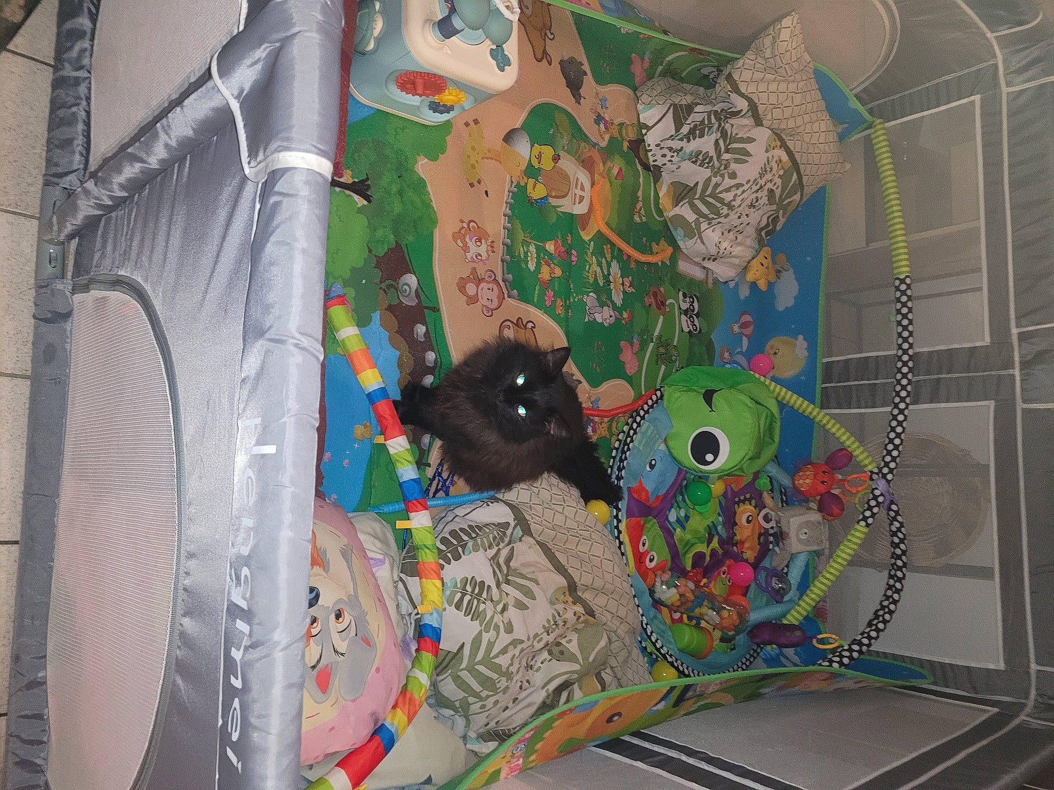 Symba a rejoint le concours — aidez-le/la à gagner de superbes lots ! art, bag, carnivore, electrical_wiring, fiction, fictional_character, games, graffiti, illustration, mural, painting, pattern, plastic, recreation, room, space, sport_climbing, trunk, visual_arts, wire