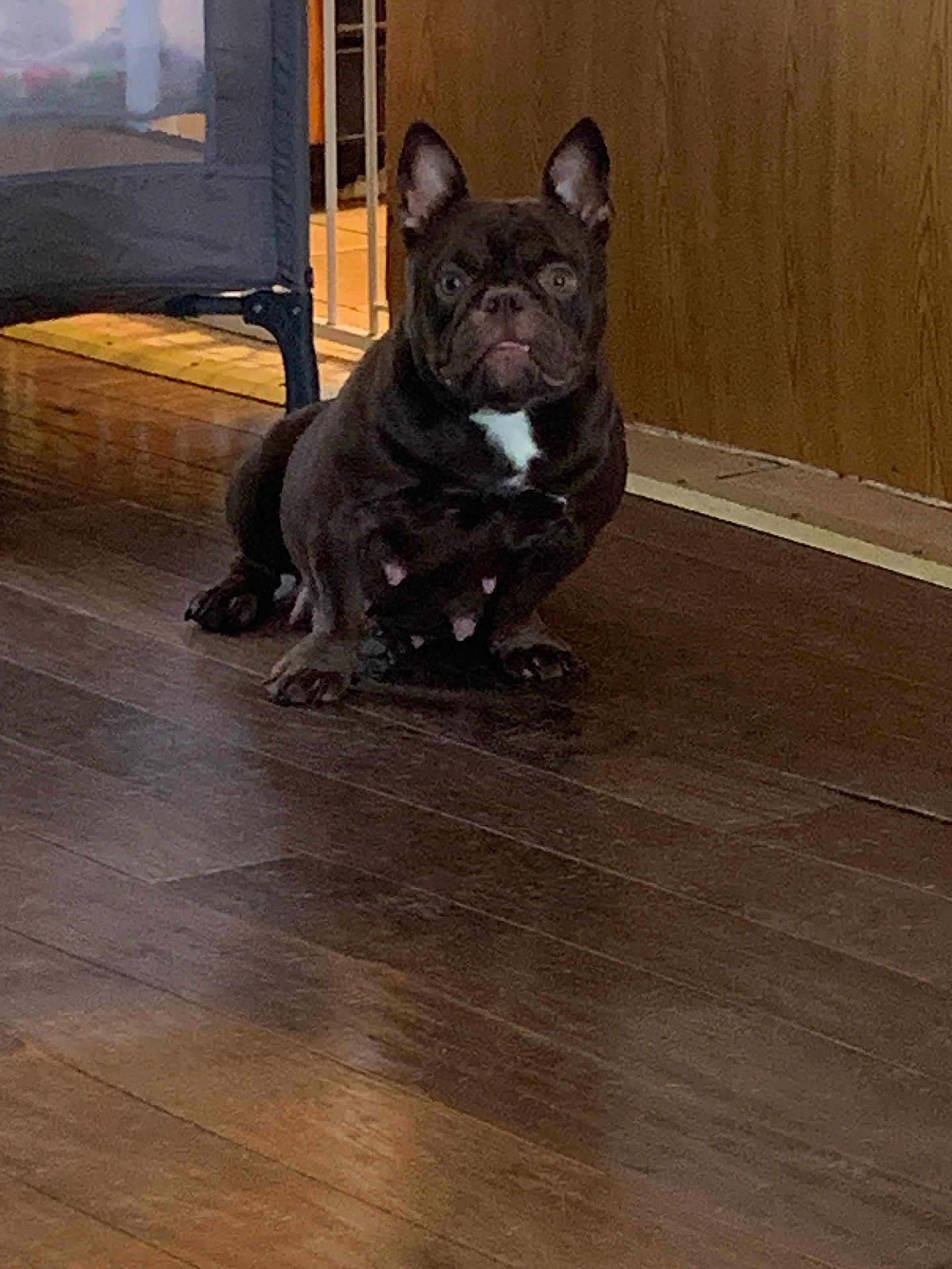 Coco