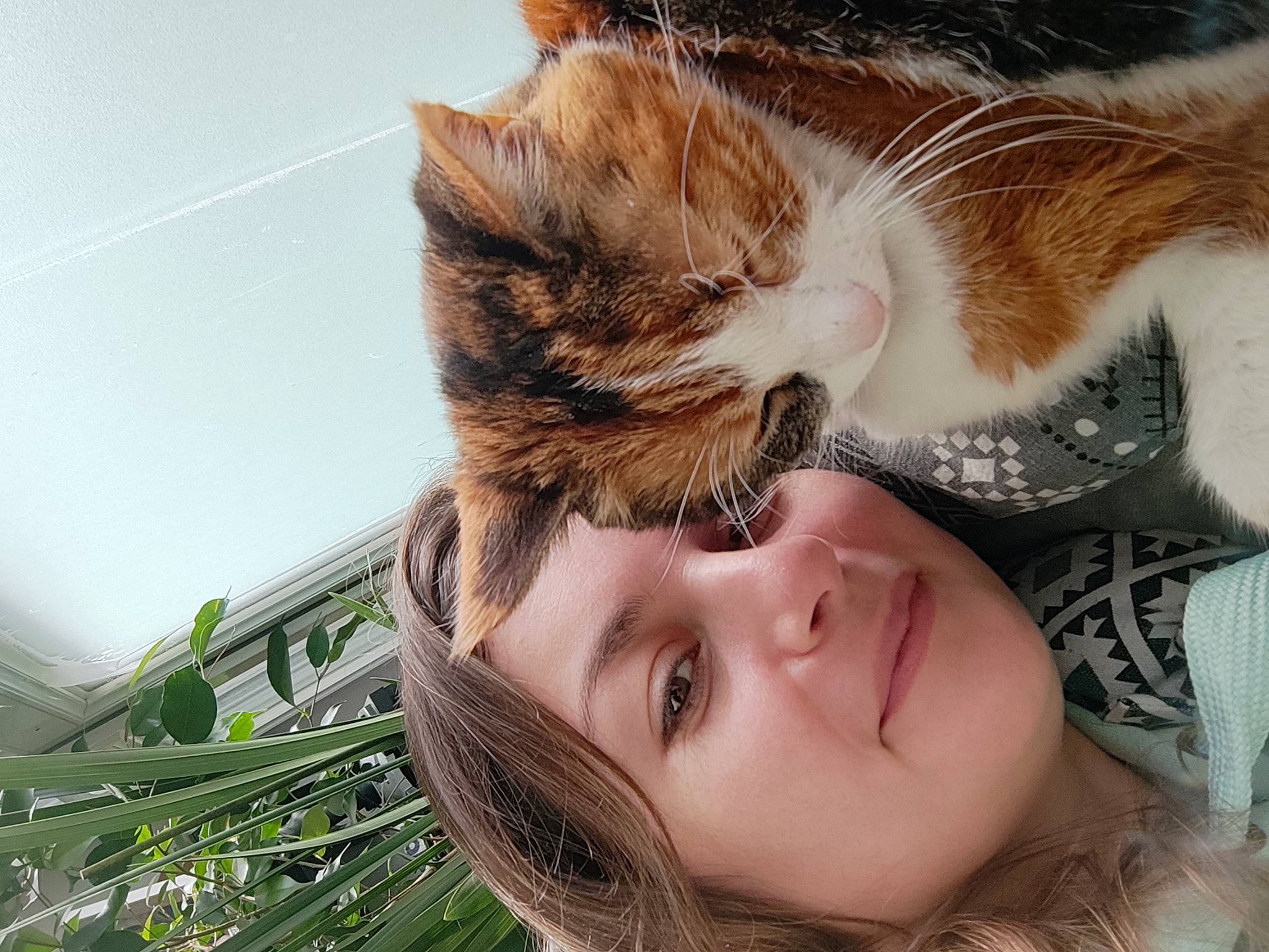 Mimi participe au concours pour gagner de l'argent avec cette photo : beard, brown_hair, carnivore, cat, comfort, eye, eyewear, fawn, felidae, grass, hair, happy, head, long_hair, plant, selfie, small_to_medium_sized_cats, snout, tree, whiskers