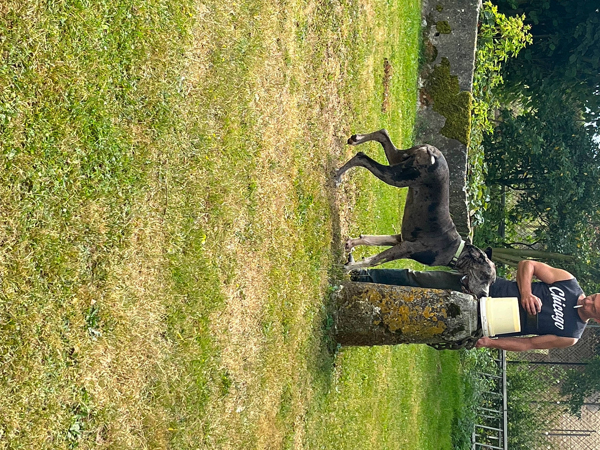 Touffus participe au concours pour gagner de l'argent avec cette photo : art, garden, grass, grass_family, grassland, lawn, leisure, metal, people_in_nature, plant, recreation, sculpture, shadow, shrub, soil, statue, tree, trunk, wheel, wood