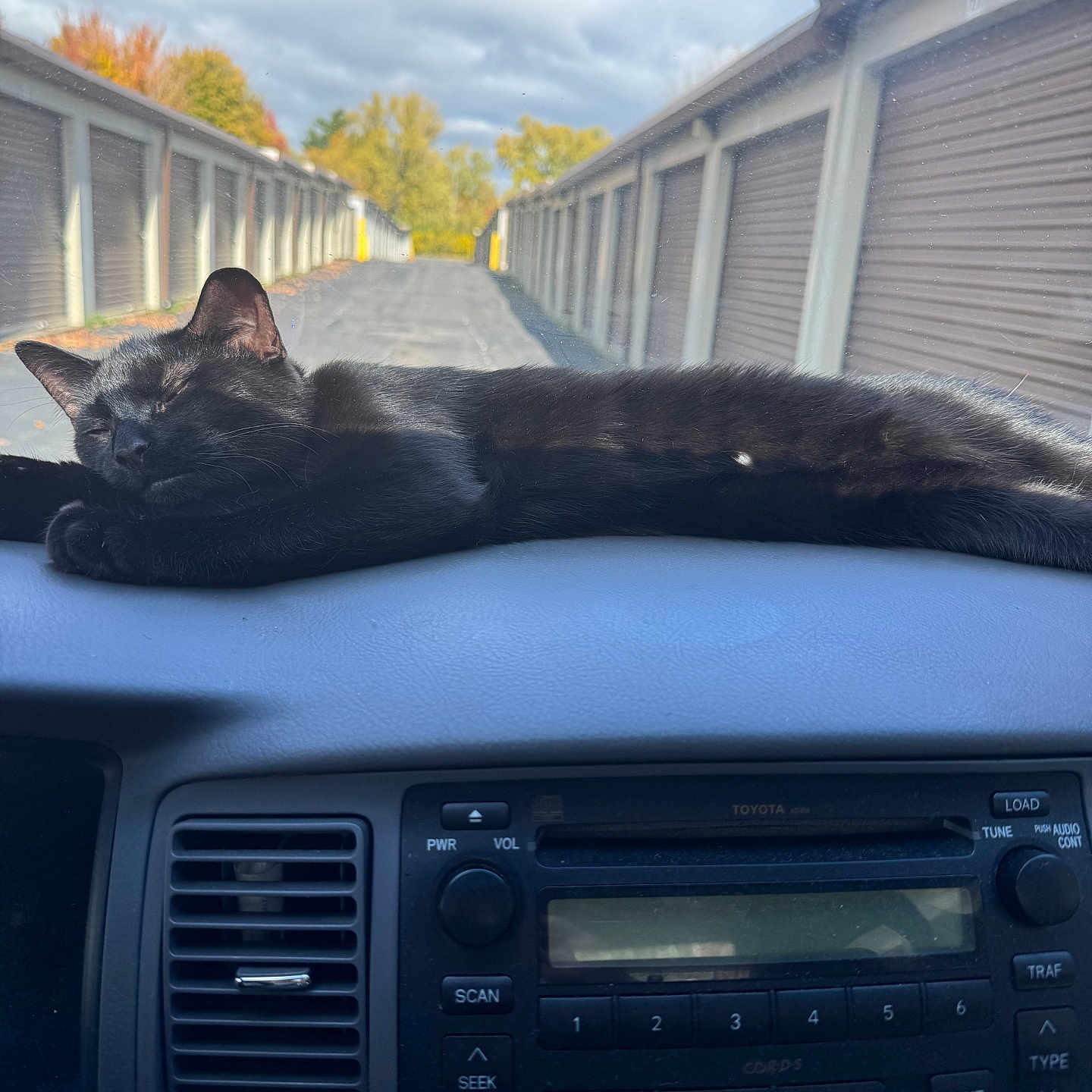 Luna