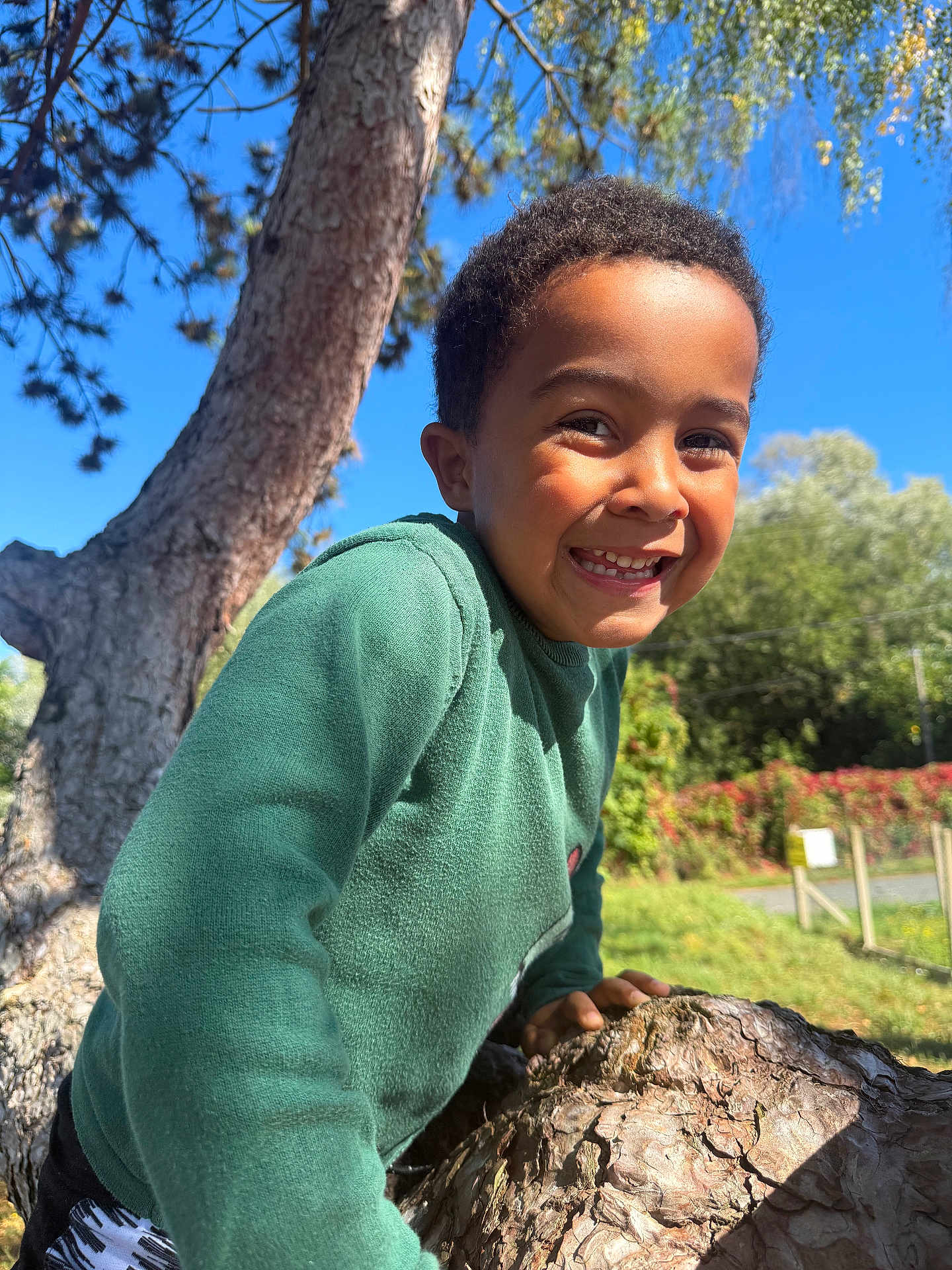 Ismael a rejoint le concours — aidez-le/la à gagner de superbes lots ! child, smiling, tree, outdoor, nature, green_sweater, sunlight, happy, boy, face, climbing, blue_sky, daylight, park, casual_clothing, grass, leaves, trunk, person, portrait